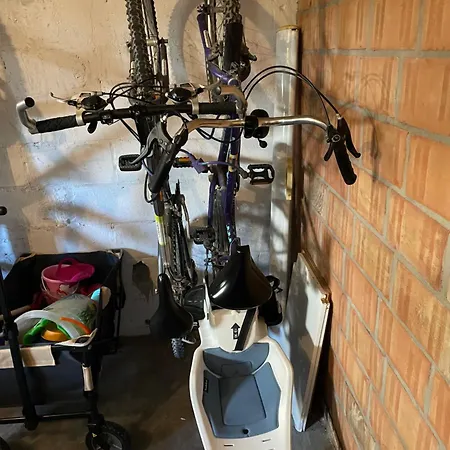 Boomstraat קוקסיידה